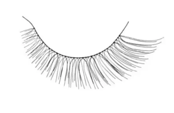 Kalentin Pestañas En Banda Knoxville